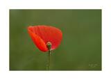 006-13-A,R1,S1-Bearbeitet-Bearbeitet 40x60cm Signatur Rand