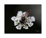 IMG 2262 01 40x50cm Signatur Rand