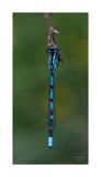 DSC1014-Bearbeitet 60x120cm Signatur 10x10cm
