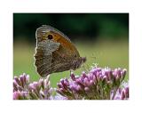 008A3932 01-Bearbeitet-Bearbeitet 40x53,3cm Signatur Rand