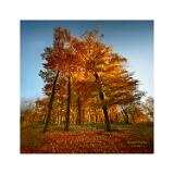 HDR 06 DSC6640 HDR 40x40cm Signatur Rand