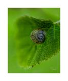 Stack 24 08A2155-16-B R8 S4-Superfocus 40x50cm Signatur Rand
