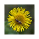 08A5388 40x40cm Signatur Rand