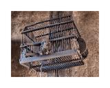 DSC8860 HDR-Bearbeitet 60x80cm 10x10cm-sRGB