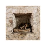 DSC8930-Bearbeitet-Bearbeitet 60x60cm 10x10cm-sRGB