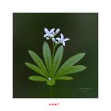 Stack 4  MG 0420-45C,S1-Bearbeitet 40x40cm Signatur Rand
