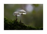Scene A Stack 01+2 40x60cm Signatur Rand