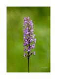 Stack 02 08A0037-29-C S4 40x60cm Signatur Rand