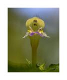Stack 20 08A2752-150-C S4 40x50cm Signatur Rand