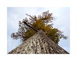 Stack 01 DSC6742 5 B R8 S4 40x53cm Signatur Rand