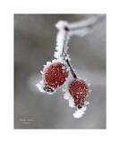 Stack 32 08A3013-23-B R8 S4 40x50cm Signatur Rand